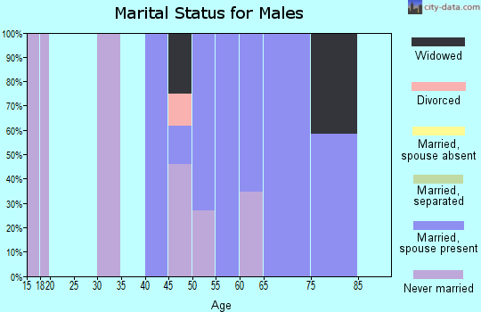 Zip code 26137 marital status for males