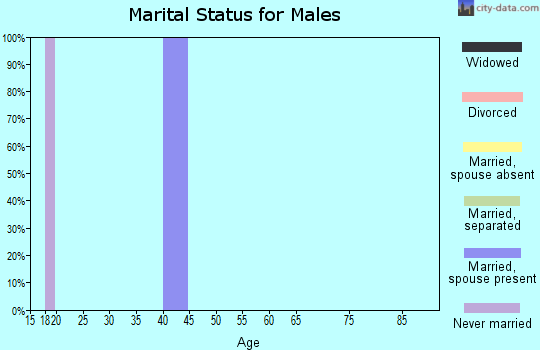 Zip code 26138 marital status for males