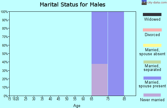 Zip code 26141 marital status for males