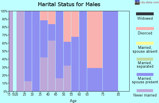 Zip code 26142 marital status for males