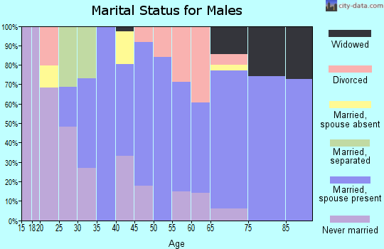 Zip code 26143 marital status for males