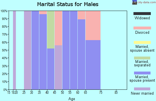 Zip code 26146 marital status for males