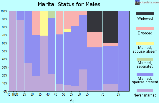 Zip code 26147 marital status for males