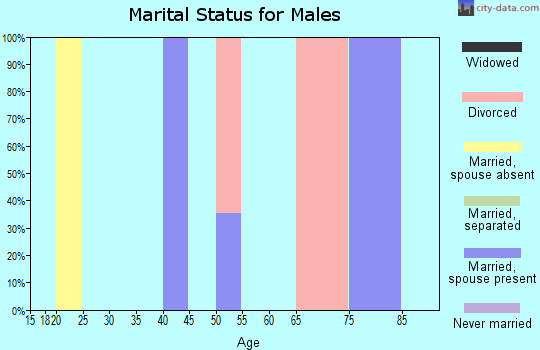 Zip code 26148 marital status for males