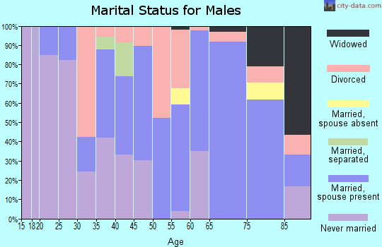 Zip code 26149 marital status for males
