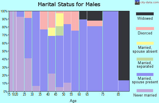 Zip code 26150 marital status for males