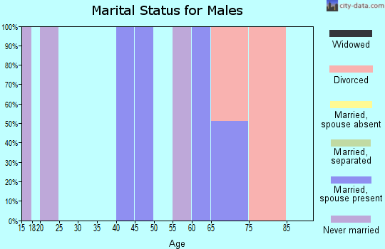 Zip code 26151 marital status for males