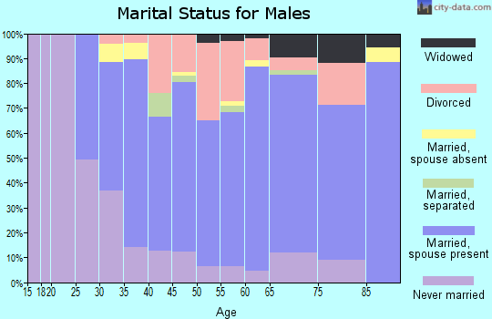 Zip code 26155 marital status for males
