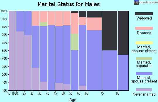 Zip code 26159 marital status for males
