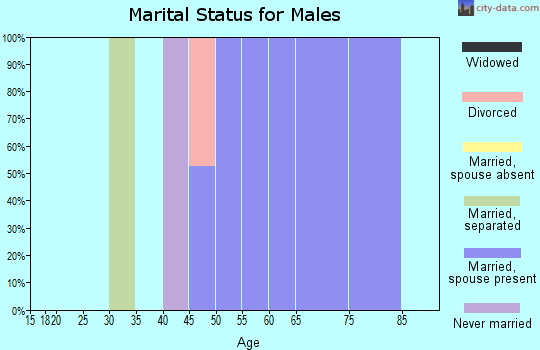 Zip code 26161 marital status for males