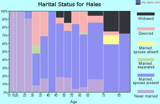 Zip code 26164 marital status for males