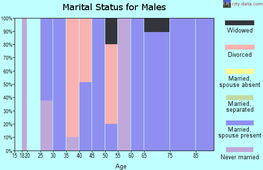 Zip code 26167 marital status for males