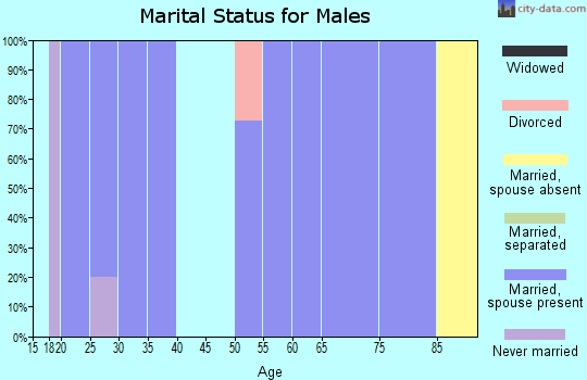 Zip code 26169 marital status for males