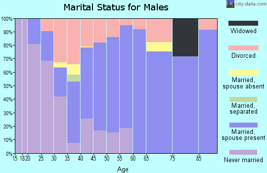 Zip code 26170 marital status for males