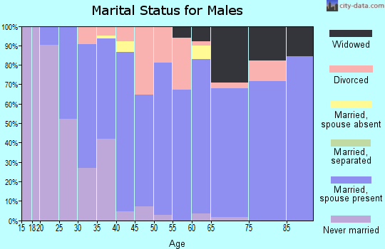Zip code 26175 marital status for males