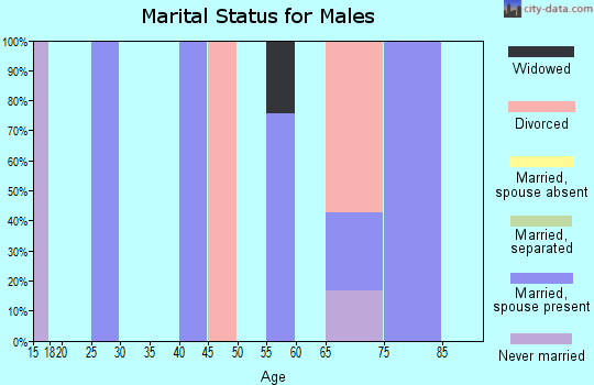 Zip code 26178 marital status for males