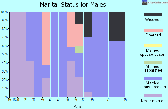Zip code 26180 marital status for males