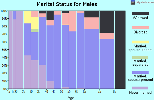 Zip code 26181 marital status for males
