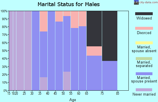 Zip code 26184 marital status for males