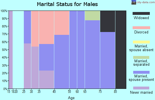 Zip code 26186 marital status for males