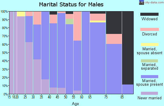 Zip code 26187 marital status for males