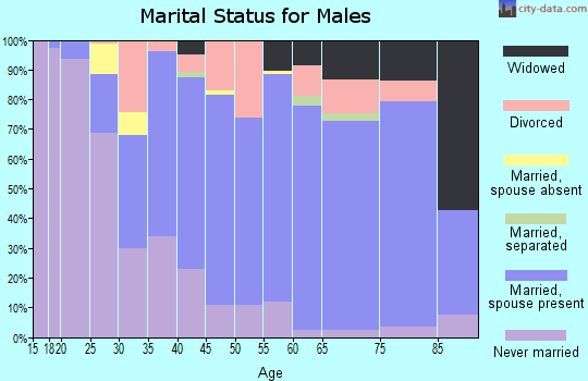 Zip code 26201 marital status for males