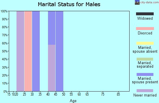 Zip code 26203 marital status for males