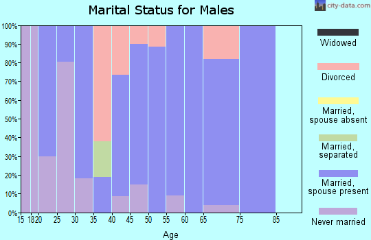 Zip code 26205 marital status for males