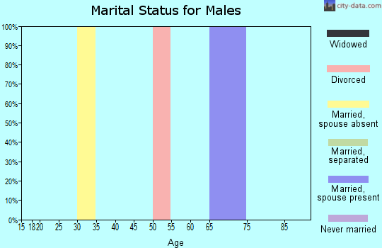 Zip code 26209 marital status for males