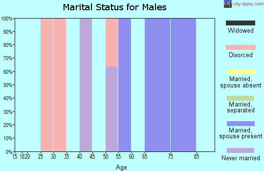 Zip code 26224 marital status for males