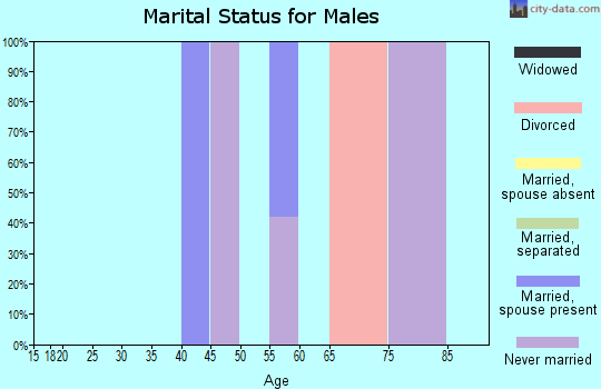 Zip code 26230 marital status for males