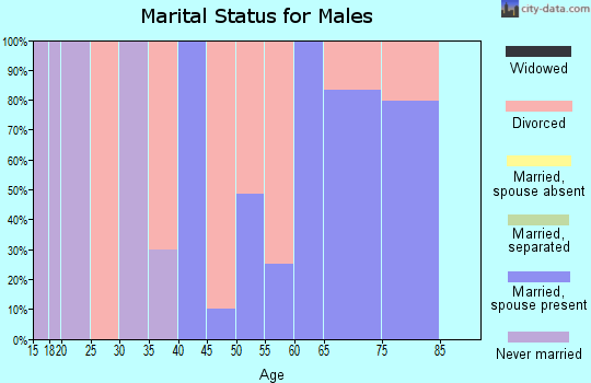 Zip code 26234 marital status for males