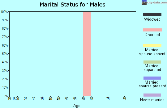 Zip code 26236 marital status for males