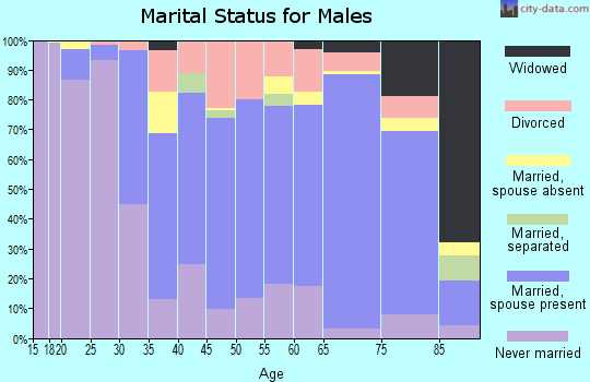 Zip code 26241 marital status for males