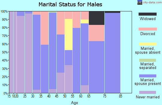 Zip code 26253 marital status for males