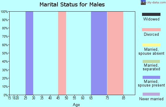 Zip code 26259 marital status for males