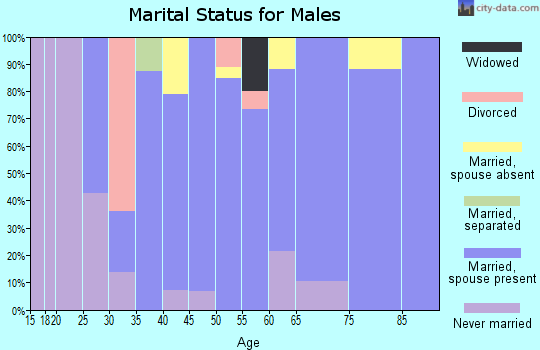 Zip code 26260 marital status for males