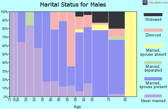 Zip code 26261 marital status for males