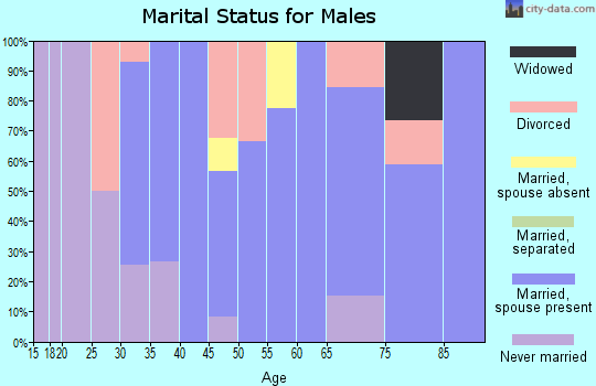 Zip code 26264 marital status for males