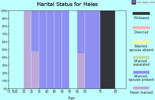 Zip code 26267 marital status for males