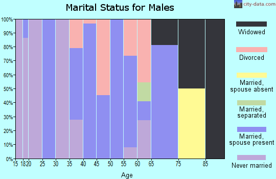 Zip code 26269 marital status for males