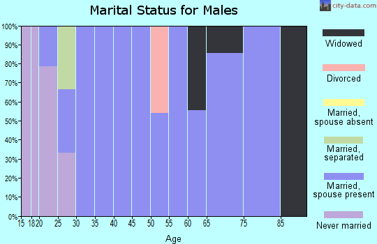 Zip code 26271 marital status for males