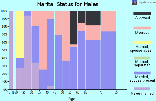 Zip code 26275 marital status for males