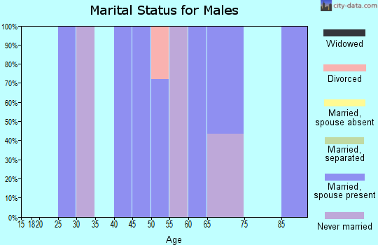 Zip code 26276 marital status for males