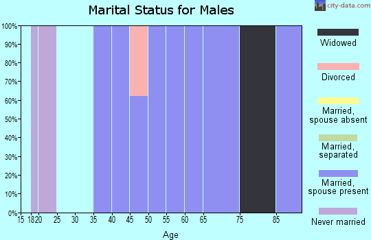 Zip code 26278 marital status for males