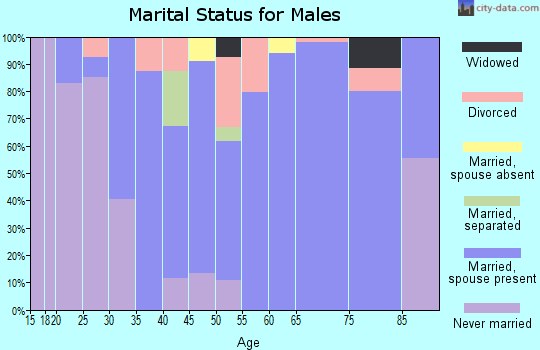 Zip code 26280 marital status for males