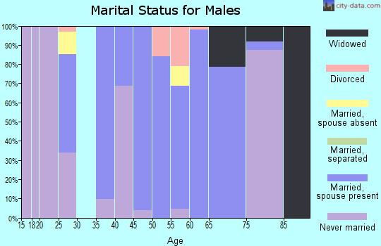 Zip code 26283 marital status for males