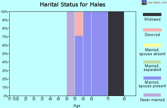 Zip code 26285 marital status for males