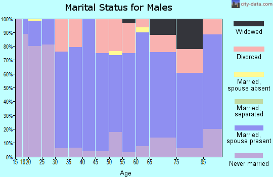 Zip code 26287 marital status for males