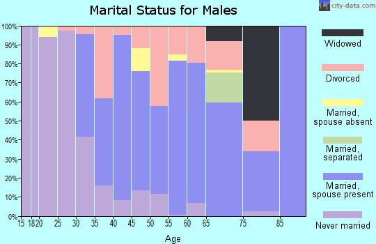 Zip code 26288 marital status for males
